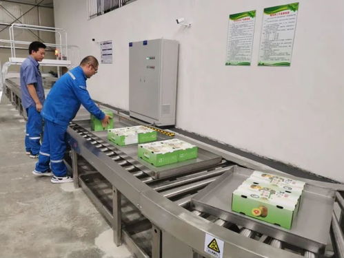 治愈系云游 廣西風(fēng)情瑤鄉(xiāng)的美麗蝶變與廣東省基礎(chǔ)電信業(yè)務(wù)新篇章