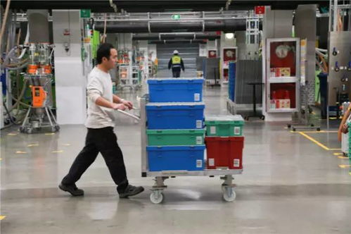 樂高小人回娘家 探秘嘉興工廠——原來(lái)有一群人的工作是搭積木？